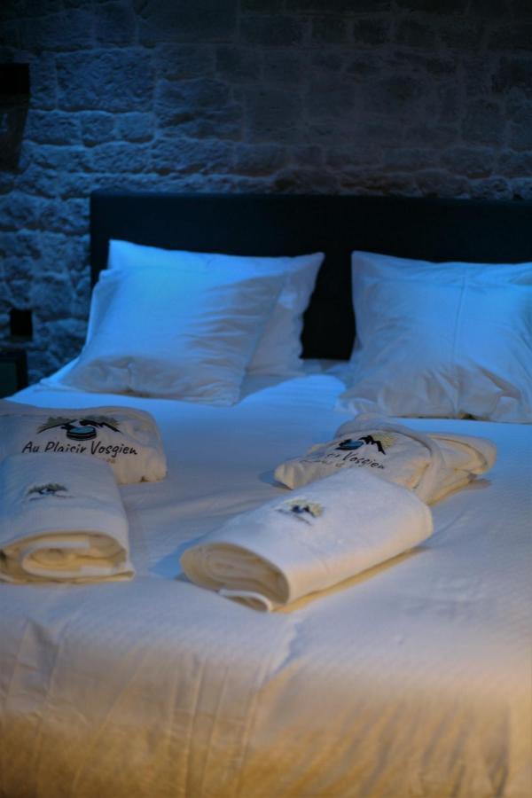 Hotel Au Plaisir Vosgien à Raon-lʼÉtape Extérieur photo